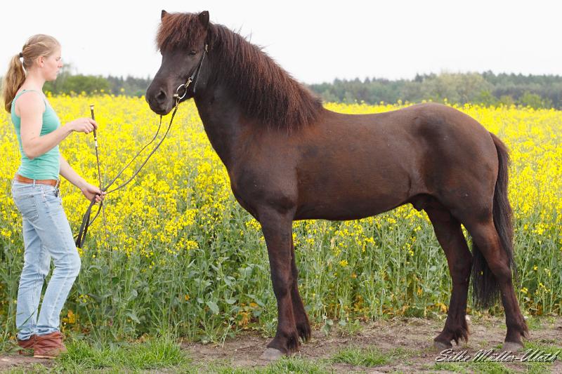 _MG_2944 sg.JPG - Alvar fra Stora-Hofi